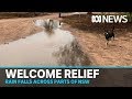 Heavy rainfall forecast for parts of NSW in coming days | ABC News