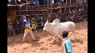 வீரமும் பாசமும் கருங்குளம் ஜல்லிக்கட்டில் எல்லோரையும் கவர்ந்த காளையின் உரிமையாளர்....