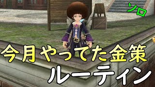 【トーラム】７月行ってた恒常金策ルーティン。消費アイテム＋拡張素材　ソロ編【トーラムオンライン】