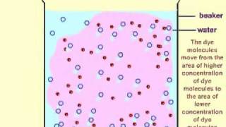SIMPLE DIFFUSION.avi