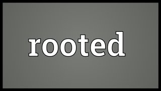 Rooted Meaning