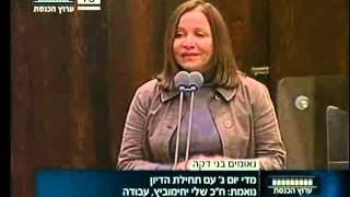 שלי יחימוביץ' בכנסת: קיימת הזדמנות פוליטית יוצאת-דופן לקדם שוויון זכויות מלא לקהילה הגאה