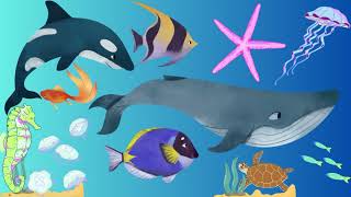 ইংরেজিতে 15 টি জল প্রাণীর নাম শিখুন | Learn 15 Water Animals Name in English | Kids video#kidsvideo