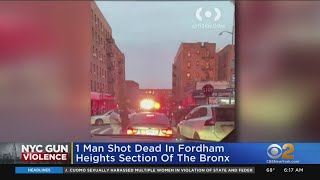 Deadly Shooting In Forham Heights