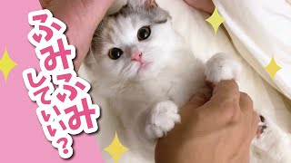 初めてふみふみして甘えてくる可愛い子猫【おしゃべりする猫】 【猫アテレコ】