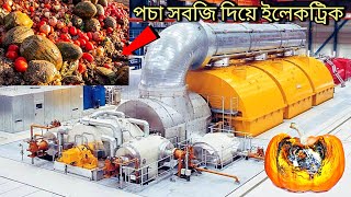 দেখুন কিভাবে পচা সবজি দিয়ে ইলেকট্রিক তৈরি করা হচ্ছে! Amazing rotting vegetables make electricity