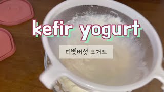 티벳버섯 케피어 만들기 요거트 만들기 밀크 케피어 HOW TO MAKE KEFIR