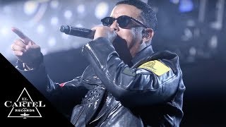Daddy Yankee - "Kingdom" | Live @ Madison Square Garden (Live)