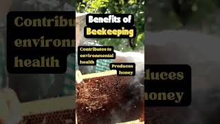 Benefits of Beekeeping  #hobby #bees #beekeeperslife #beekeeper #beekeepinghobby #outdoorhobbies