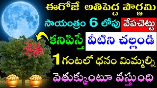 ఈరోజే  అతిపెద్ద పౌర్ణమి సాయంత్రం 6 లోపు వేపచెట్టు కనిపిస్తే వీటిని చల్లండి 1 గంటలో ధనం మిమ్మల్ని