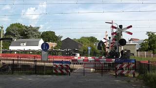 Spoorwegovergang Oudenbosch/ Level Crossing/ Passage a Niveau/ Railroad-/ Bahnübergang