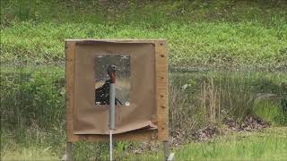 Winchester Long Beard XR Penetration Test At 70yds