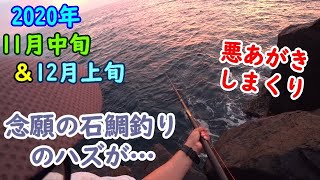 【東伊豆】念願の石鯛釣りがまさかの結果に…そして定番の悪あがき！【2020年11月中旬＆12月上旬】