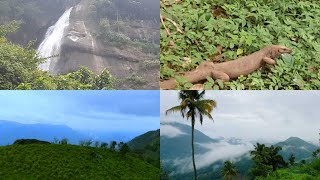 NJANDIRUKKI WATERFALLS POOMALA/THODUPUZHA/IDUKKI/KERALA / SOUTH INDIA TOURISM