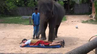 Elephant massage