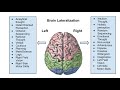 Psycholinguistics - Lesson 13 - Language and brain