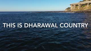 Dharawal Country