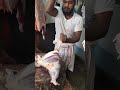 Meat Cutting Skills By Bangladesh #shorts