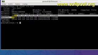 stat command in BASH shell terminal