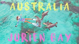 【WesternAustralia】Jurien Bay・Sealion 西オーストラリア ロードトリップ ジュリアンベイ アシカ