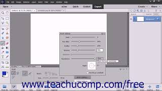 Photoshop Elements 2018 Tutorial Setting Shape Dynamics Adobe Training