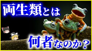 【ゆっくり解説】起源は不明⁉絶滅危機⁉「両生類」とは何者なのか？を解説/気候のカナリアの意味と、カエルツボカビ症の脅威