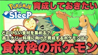 目標は高エナジー料理！カイリュー/バンギラス/リザードンの使用感と食材量について【ポケモンスリープ/安心院幽】