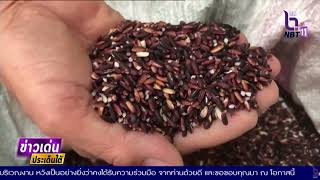 ยะลา – ขนมเข่งเจ๊หลานสูตรโบราณเมืองเบตง เร่งส่งให้ทันตรุษจีน  ข่าวเด่นประเด็นใต้วันที่ 8 ม.ค.68