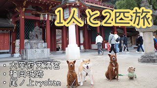 【1人と2匹旅】九州旅行2日目。愛犬と福岡旅！【Vlog】