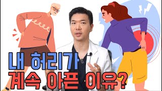 나만 허리가 계속 아픈 이유? 이것을 알아야 합니다! (닥터홍선생#106)