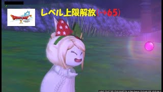 【DQ10】レベル上限解放クエスト（上限60→65）など！【ネタばれ注意！】