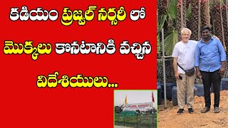 కడియం ప్రజ్వల్ నర్సరీ ని సందర్శించిన విదేశీయలు Kadiyam Nursery Prajwal Nursery