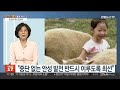 초대석 안성시 첫 여성 재선 시장…소감은 연합뉴스tv yonhapnewstv