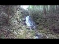 【弥五郎神社】岐阜県恵那市武並町藤　 失せ物　 神社