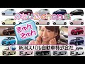 2013年 軽ウインターパッケージ　今井篇　（新潟スバル限定cm）