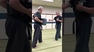Knee kicking techniques！KARATE／【貴重】鈴木先生による膝蹴りのご指南。角度がポイントです！