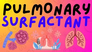 The Respiratory System: Pulmonary Surfactant