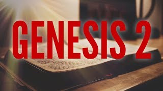 GENESIS 2: Bible Audio (Bible Reading)