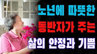 70세 넘은 여성들이 사랑을 꿈꾸는 이유 | 노년에 따뜻한 동반자가 주는 삶의 안정과 기쁨