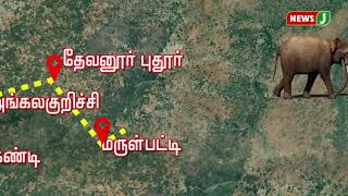 காட்டின் முக்கிய கோட்பாட்டை உடைத்த சின்னத்தம்பி யானை - சிறப்பு தொகுப்பு