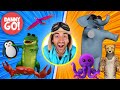 "The Animal Dance Game!" 🐙🐊🐒 Would You Rather Brain Break | Danny Go! Songs for Kids