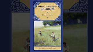 Михаил Шолохов. Поднятая целина. Книга вторая. Глава 22.