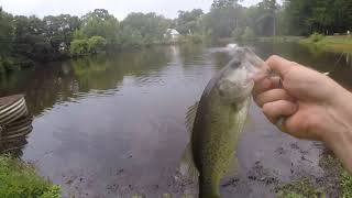 How To Fish Small Ponds - Bass Fishing Tips