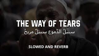 "The Way of Tears" Relaxing Sad Arabic Nasheed | Voice Cover by Jawad Ahmad