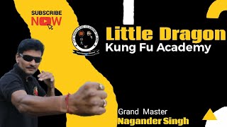 Just a  trailer   Its about Kung   Fu   It about Nature   Little Dragon Kung Fu Academy   JKD Style