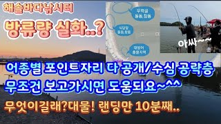 [참돔미녀TV]대부도 해솔바다낚시터 엄청난 방류량!! 각종 핫 포인트 공개!!