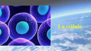 La cellule