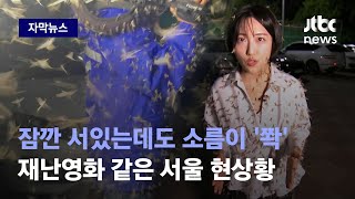 [자막뉴스] 때아닌 습격에 혼비백산…서울 점령한 '이것' 어디서 왔나 봤더니 / JTBC News