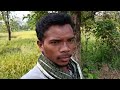 🙂 ଚାଲ ବୁଲେଇ ନେମି ଆମର ଖେତ villagelife style village farming sambalpuri vlogs