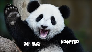 [BOH MUSIC] Ad0pted - Original Mix